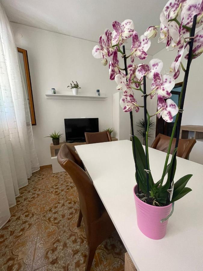 A Casa Dei Nonni Holiday home Cavallino-Treporti